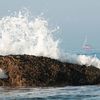 Tout savoir sur la pêche en mer