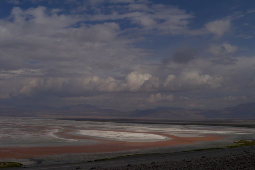 Bolivie : Tupiza à Uyuni