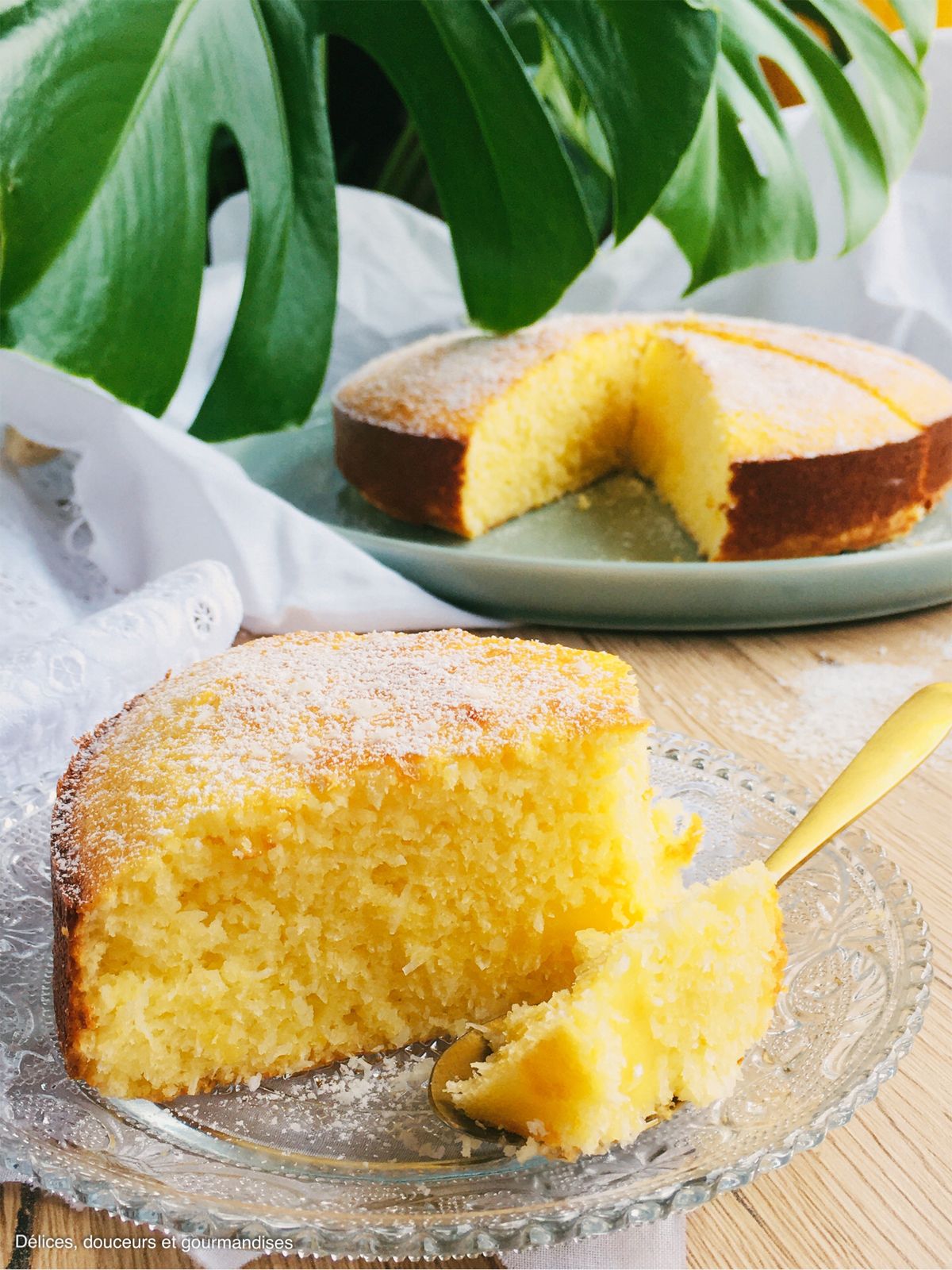 Moelleux A La Noix De Coco Sans Beurre Delices Douceurs Et Gourmandises
