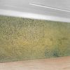 Moss Wall @ Olafur Eliasson. 1994
