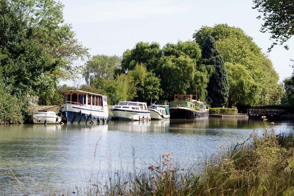 Pennautier, l'Aude, Carcassonne et ses environs... le canal du Midi... Les photos de ma région d'adoption.