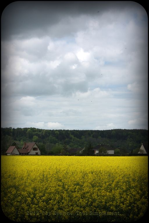 Album - Paysages