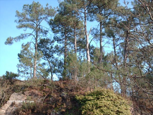 Les carrières de Kérity à Paimpol ont été exploitées pour extraire le grès des formations de Plourivo. Matériaux utilisé dans la construction dans le Goëlo.