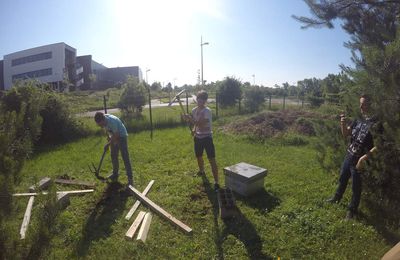 Nos premières abeilles à Camus