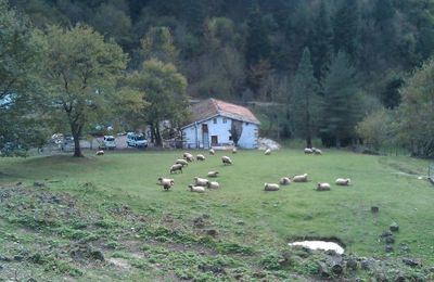 *LA ASOCIACION REMAR ACUMULA MUERTES VIOLENTAS Y DENUNCIAS