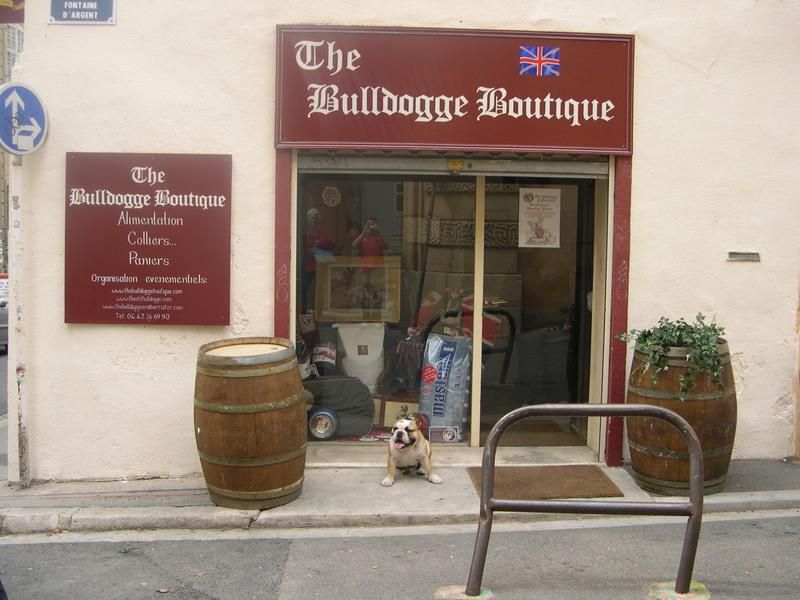 Album - Olde-Bulldogge-pubs-and-logos