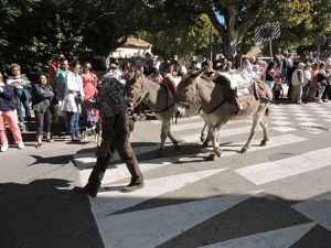 Mouriès, Fête des Olives vertes 3/6