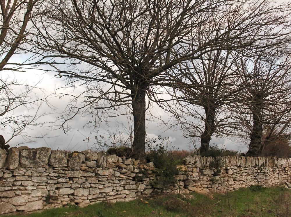 Dans un jardin, et autour, une petite ville au pied de la Montagne noire, à 15 kilomètres du département de l'AUDE.
Sur la route pour y aller, pour en revenir, de belles choses