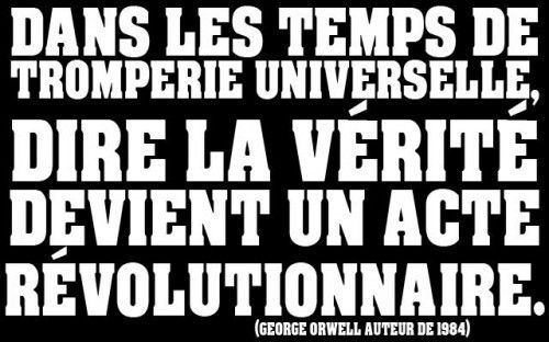 Etre ou ne pas être... révolutionnaire