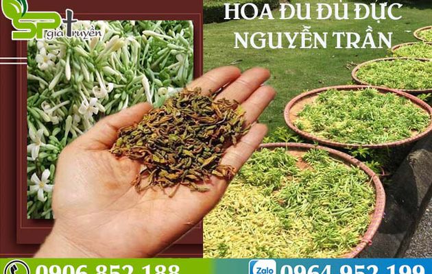 Cách sử dụng hoa Đu Đủ Đực tươi