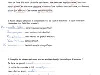 CM2A Continuité pédagogique 3è période