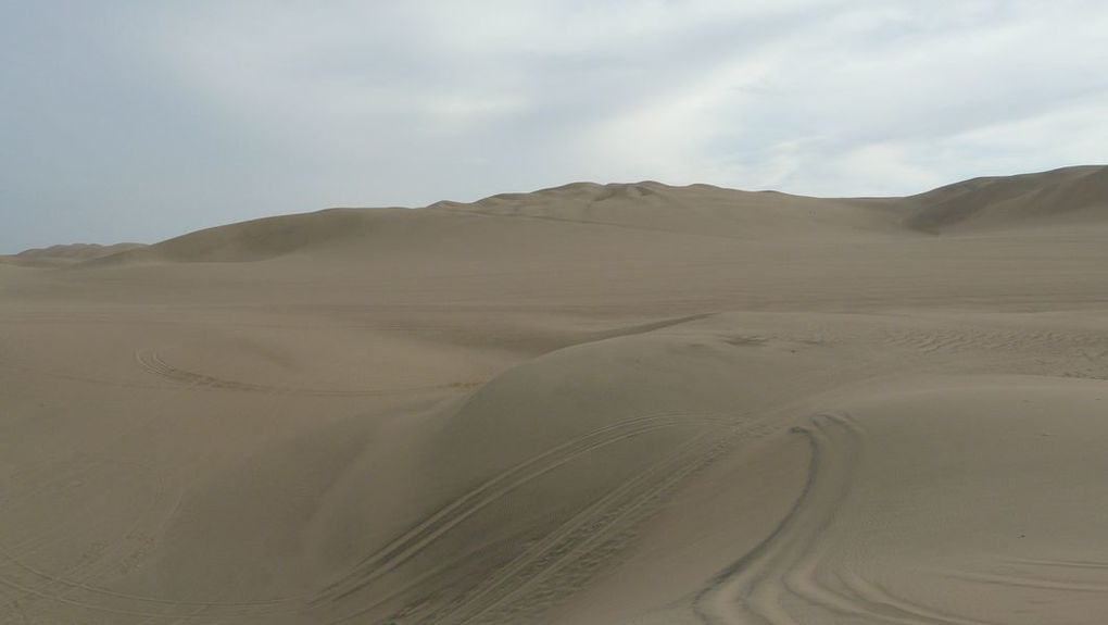 Album - ayacucho--desert-peruvien-et-nos-amis-les-oiseaux