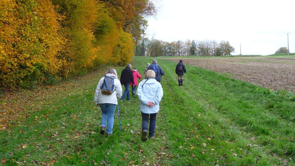 691. Jeudi 16 novembre : Jouarre-Les Corbiers.