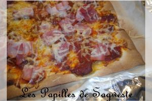 Recette de pizza jambon gruyère sur pâte à flammen