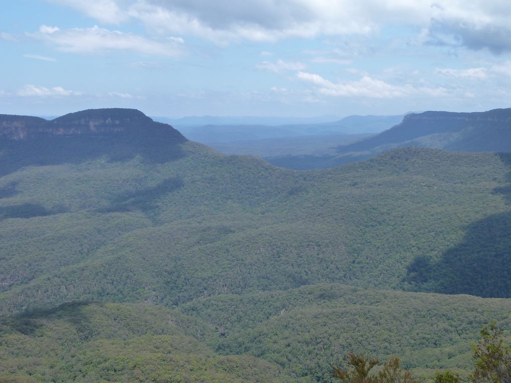 Album - Blue Mountains