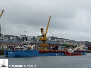 Port de Fécamp 17 juillet 2012   import néphéline
