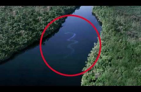 Nouvelles photos et vidéos qui montrent le plus grand serpent jamais vu par les humains