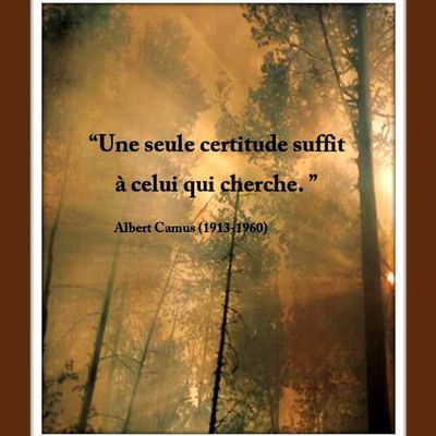 Citation "certitude" de Albert Camus