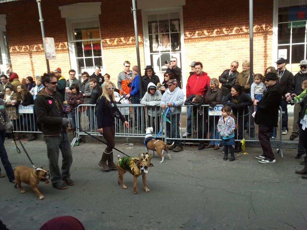 Première parade de notre premier carnaval.