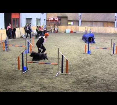 Sélectif European open en Hongrie