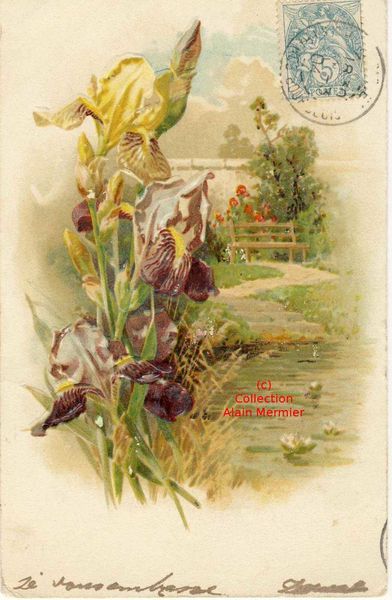 Iris -2341- Gaufrée. Iris marron et jaune + paysage. 1904