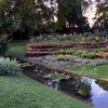 un beau parterre fleuri