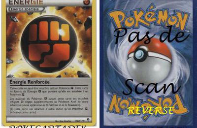 SERIE/XY/POINGS FURIEUX/101-113/104/111