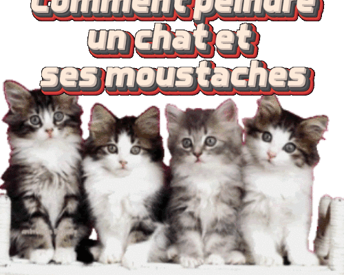 Dessin et peinture - vidéo 4497 : Comment peindre un portrait de chat avec moustaches ? - pastels secs.