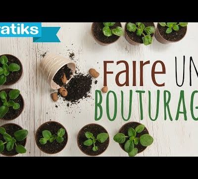 Comment faire un bouturage ?