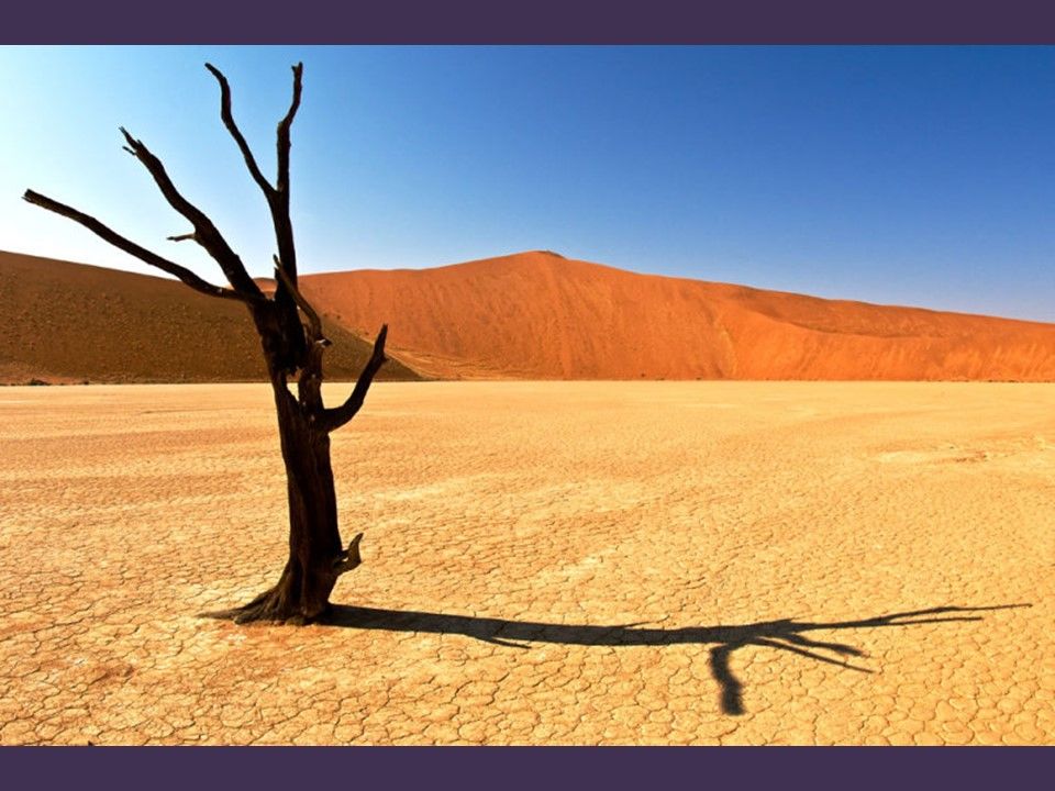 Le Désert - Images de toutes beauté