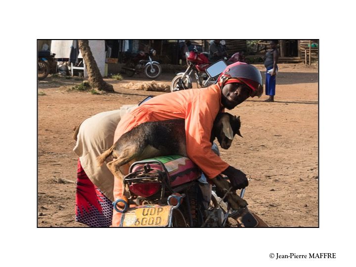 L'Ouganda tire son nom du royaume de Buganda qui couvrait autrefois les régions les plus au sud. Sa capitale est Kampala.