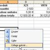 Echanger les lignes et les colonnes dans un tableau sous Excel
