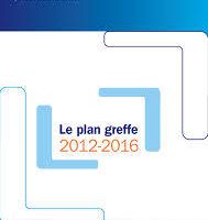 Plan greffe 1 (2000-2003)    Plan greffe 2 (2012-2016)