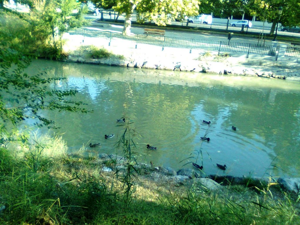 Album - Paseo-del-Canal--Zaragoza-