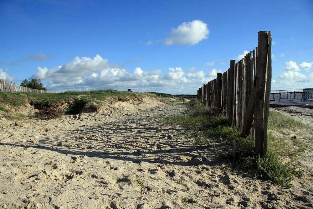 Album - Promenade en Pays de Retz