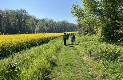 Randonnée de Lizy-sur-Ourcq à La Ferté-sous-Jouarre. 17 Km