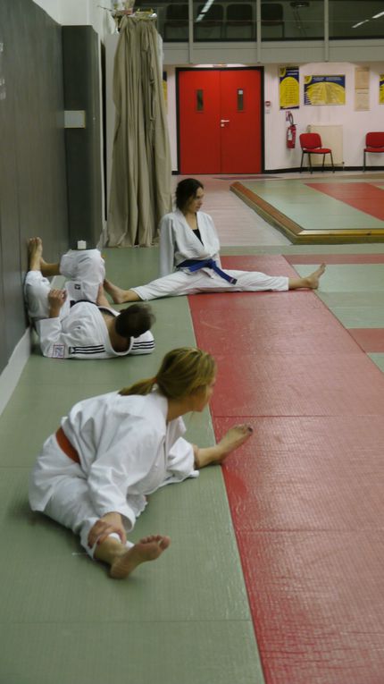 Jujitsu et self-défense