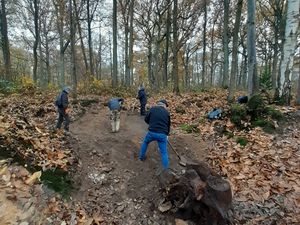 Une fois la chaine remise sur son guide, la tronçonneuse reprend sa tâche, menée tour à tour par Silvère et Edgar. Martine et Marie arrivent sur le chantier et une nouvelle souche va être extraite.