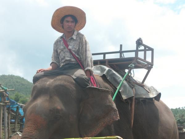 Juillet - Aout 2005
Voyage en Thailande, au Laos et au Cambodge