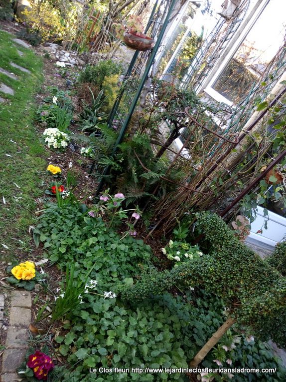 Mon jardin Le Clos fleuri en avril ......