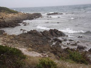 l'étang,  le chemin en bord de mer, la pinède, la plage