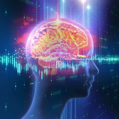 ELON MUSK : Annonce pour l’an prochain la connexion reliant le cerveau aux ordinateurs