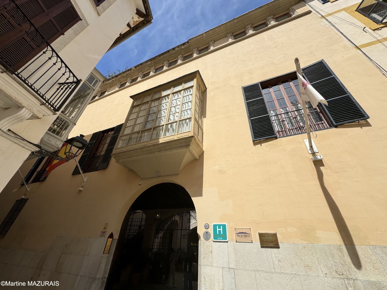 Palma Palacio Galesa