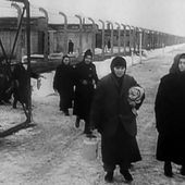 27 janvier 1945 : la libération d'Auschwitz Birkenau par l'Armée rouge | INA