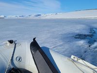 Approche du Spitzberg vers minuit avec le soleil dans les yeux ! Puis, mouillage dans Hornsund, le fjord du sud, balade en raquettes et premières traces d'ours polaire... Promenades devant les fronts de glaciers, entre les icebergs, approche de la banquise fondante au fond du fjord... Ce sont vraiment des lieux magiques, qui méritent la traversée...