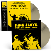 Pink Floyd 'The Space Rock Era' 2-LP Gold Vinyl Bundle