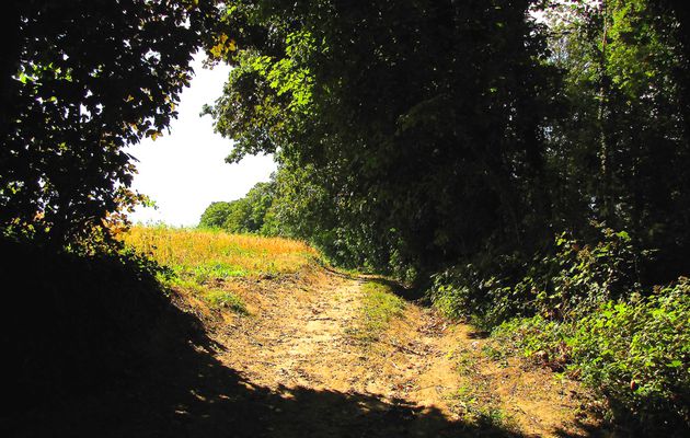 carrefour_GR11_Sentier vers les Hureaux