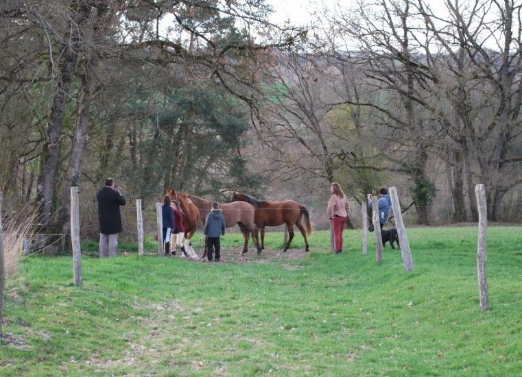 week-end équitation en amazone en touraine 28-29 mars 2009, des amazones  confirmées, une amazone débutante, des amazhoms, des selles d'amazone à foison
la monte en amazone sous toutes ses facettes, cheval, dressage, saut d'obstacle, sidesaddle