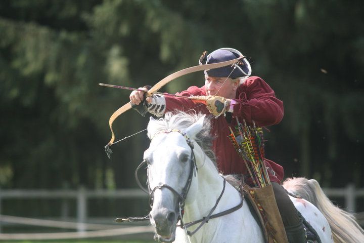 Les chevaux de LA SIMIOUNE (Près de BOLLENE dans le VAUCLUSE)