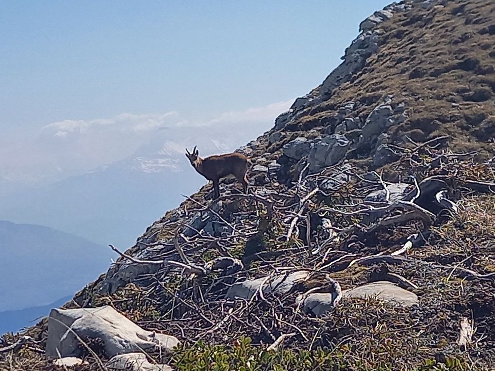 DERNIER WEEK-END DE LIBERTE : DIRECTION LE VERCORS